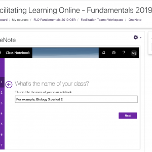 LTI OneNote