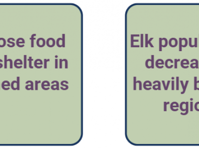 Tiles showing events in a chain reaction