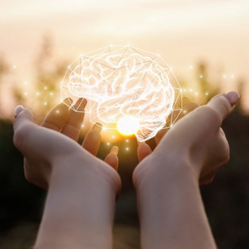 Hands holding a see through brain while the sun sets behind it.